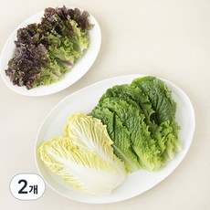 팜에이트 쌈채소, 150g, 2개
