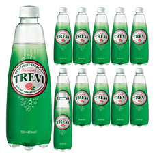 트레비 자몽 탄산음료, 500ml, 12개