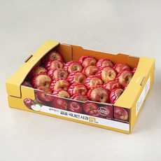 곰곰 국내산 사과, 5kg, 1박스
