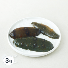 중앙씨푸드(주) 국내산 남해안 해삼 (냉장), 3개, 200g
