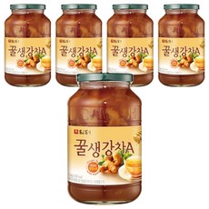 담터 꿀생강차A, 1kg, 1개입, 5개