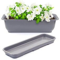 화분월드 라운드 직사각 화분 뷰티 6호 + 받침, 다크그레이, 1개