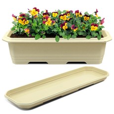 화분월드 직사각 대형 클래식 660 화분 + 받침 세트, 자연베이지, 1개
