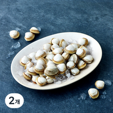 국내산 산지직송 동죽 조개 (냉장), 2개, 1kg