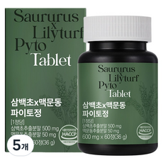 이롭핏 삼백초 x 맥문동 파이토정 36g, 5개, 60정