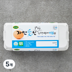 자연애찬 무항생제 1+등급 대란, 10구, 5개