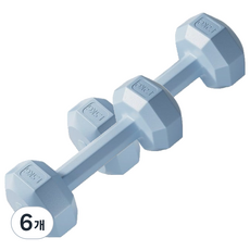 코레시스 예쁜 파스텔톤 홈트용 아령 블루, 6개, 1.5kg