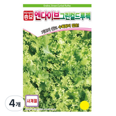 아시아종묘 엔다이브 그린컬드루펙 치커리 씨앗, 4개