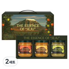 담터 제주 액상차 3종 선물세트, 2세트, 한라봉청 300g + 하귤청 300g + 청귤청 300g