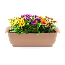 화분월드 라운드 직사각 뷰티 화분, 커피컬러, 1개