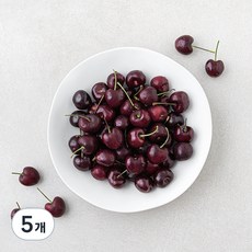 미국산 체리, 500g, 5개