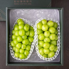 가족 GAP 유명산지 샤인머스켓 세트, 1.5kg(2~3입), 1개