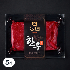 농협 한우 1등급 우둔 육전용 (냉장), 5개, 300g