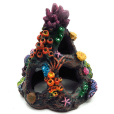 水族箱珊瑚岩藏身處, 1個