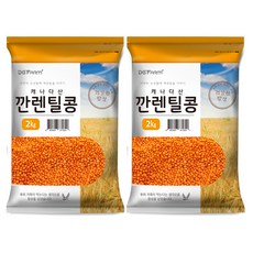 대구농산 깐렌틸콩, 2kg, 2개