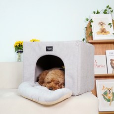 Gaekwacheonsun 狗狗MOMA寵物屋, 灰色