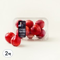 올프레쉬 저탄소인증 와촌 대석 왕자두, 650g, 2팩