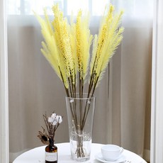 JOART Harmony Pampas Gaga 10p套件, 黃色