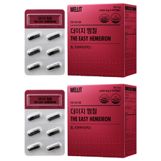 WELLIT Dezzy 血紅素鐵益生菌鐵補充劑 25.2 克, 60顆, 2個