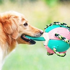 DING DONG PET 狗狗玩具 Wonder Ball 拉扯標籤, 薄荷綠, 1個