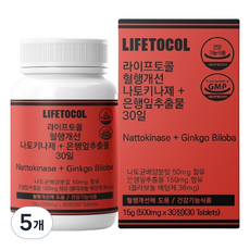 라이프토콜 혈행개선 나토키나제 + 은행잎추출물 30일 15g, 30정, 5개