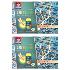 QUAKER 桂格 養氣人蔘 補氣禮盒 8瓶, 480ml, 2盒