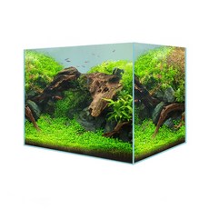 Rora Pet 貝勒克超白魚缸, 1個