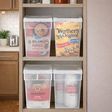 IRIS OHYAMA 愛麗思歐雅瑪 收納盒 BU-190 M號, 4個, 透明