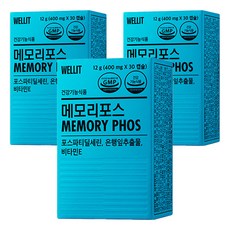 웰릿 정품 메모리포스, 30정, 3개