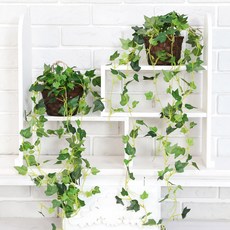 JOART 懸掛籃藤蔓常春藤, 混合色, 2個