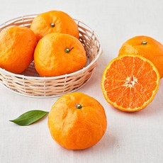 곰곰 고당도 13.5brix 카라향, 1kg, 1개