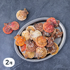 다복 바다를 담은 살아있는 2년생 비단가리비, 2개, 1.5kg