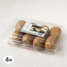 신세계푸드 제주 곶자왈 그린 키위, 900g, 4팩