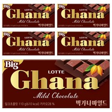 가나 빅 마일드 초콜릿, 110g, 5개