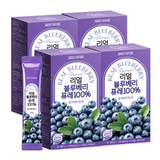 어바웃네이처 리얼 블루베리 퓨레 100% 14p, 280g, 4개