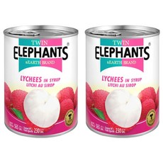 TWIN ELEPHANTS 雙象地球牌 糖水荔枝罐, 565g, 2罐