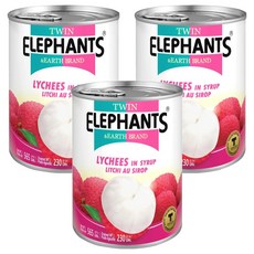 TWIN ELEPHANTS 雙象地球牌 糖水荔枝罐, 565g, 3罐