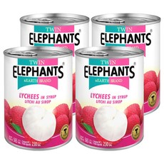 TWIN ELEPHANTS 雙象地球牌 糖水荔枝罐, 565g, 4罐