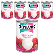 TWIN ELEPHANTS 雙象地球牌 糖水荔枝罐, 565g, 5罐