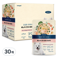 베노독 전연령 강아지 영양죽 습식사료, 연어, 100g, 30개