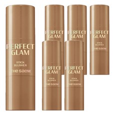 퍼펙트 글램 스틱 블러셔 6g, 6개, BR01 브라운 슈