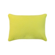 쉬즈홈 국내 제조 힐링 피그먼트 베개커버 2p