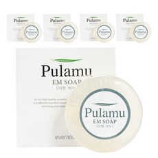 풀라무 에버미라클 EM 투명 프리미엄 발효비누, 102g, 5개