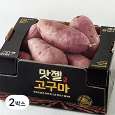 맛젤 꿀밤고구마, 3Kg(특대), 2박스