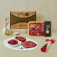 농협안심한우 1등급 채반 구이 정육 선물세트 1호 등심300g + 안심200g + 부채살200g + 국거리300g, 1세트