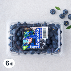 칠레산 블루베리, 310g, 6개