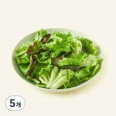 팜에이트 무농약 인증 유러피안 샐러드, 130g, 5개
