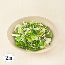 팜에이트 친환경 인증 채소 샐러드, 300g, 2개