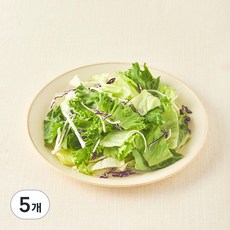 팜에이트 친환경 인증 채소 샐러드, 500g, 5개