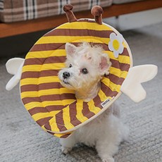 Pet Daily 寵物防舔頸圈 頸部保護套, 1個